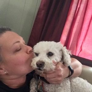 Meet your Posher, Bernadette